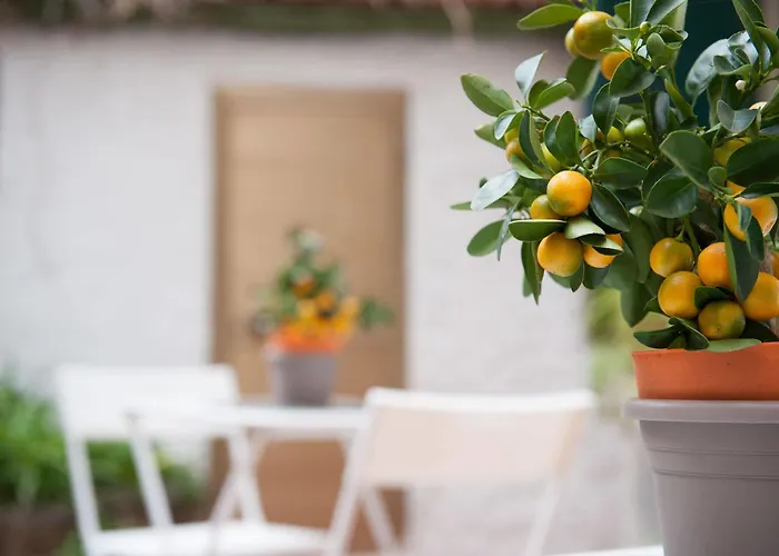 Piccarda 3* Florence