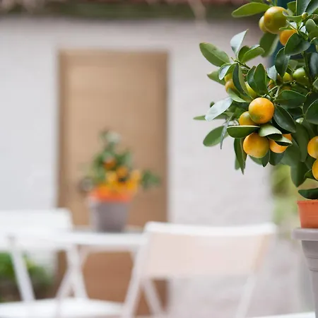 Piccarda 3* Florence